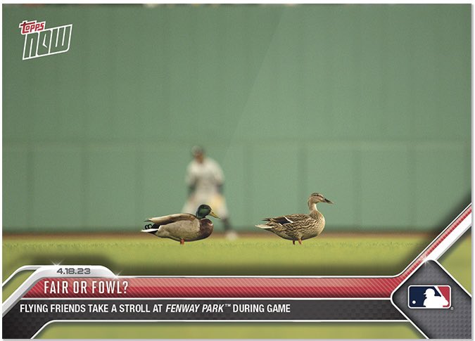 Anthony Preziosi tweet media