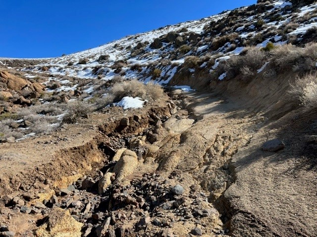 Inyo National Forest tweet media