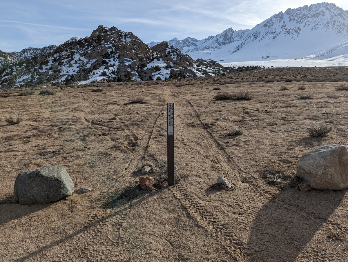 Inyo National Forest tweet media