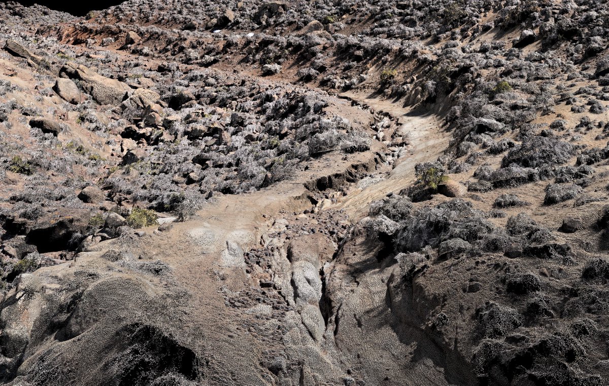 ROADS CLOSED DUE TO STORM DAMAGE starting April 20, 2023:

🚧6S02 (Silver Cyn Rd)
🚧6S01 (Wyman Cyn Rd)
🚧7S10 (Coyote Flat Rd)
🚧9S19 (Sugarloaf Rd)
🚧32E311, 32E303, 32E307, 32E302 (west of Warren Bench)

More details, including maps in the News Release: fs.usda.gov/detail/inyo/al…