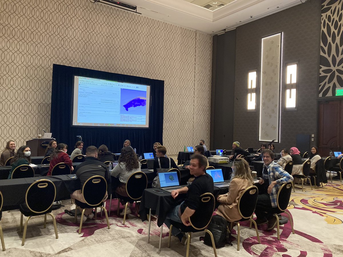 chi_polydata's tweet image. The SlicerMorph workshop at the #AABA2023 went well with these awesome participants! Thanks @BiologicalAnth for the support! @SlicerMorph @3DSlicerApp