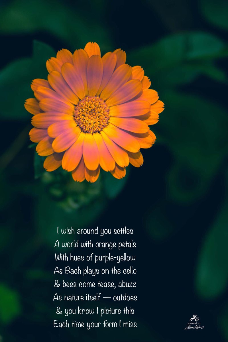 TheRealNFK's tweet photo. #CyberTruckPoetry #AajKaRandom #PhotoPoesy https://t.co/tYhBP6UDxg