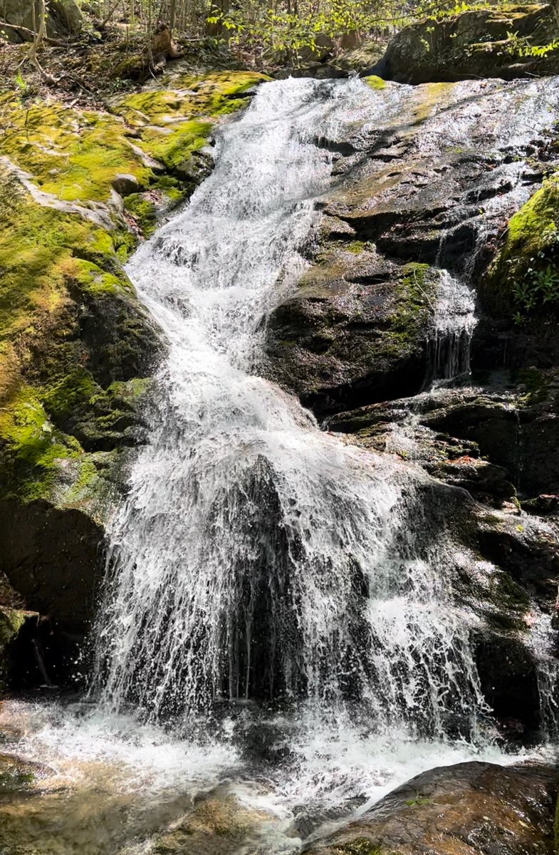 rOracle888's tweet photo. Had an amazing and rejuvenating day today at #CrabtreeFalls. Did a total of about 5 miles up and back down the mountain, and then did a plunge in ice cold water w/ a temp of 59.7° to reset my lymphatic and nervous systems. 
🥾 🏔️ 🏞️🚿💚🌳
#BlueRidgeMountains #hiking #naturelover https://t.co/r2noXULXZH