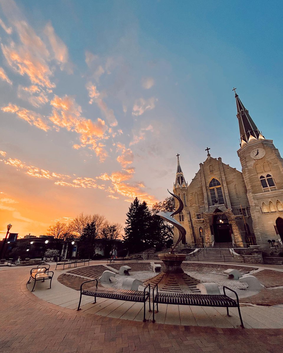 BluejayLife tweet media