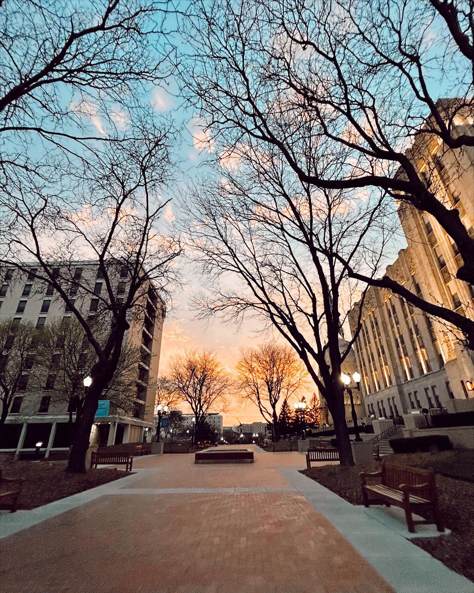 BluejayLife tweet media