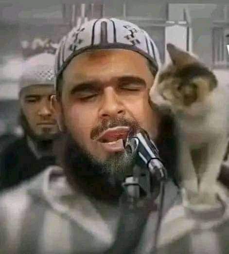 anacerghemam's tweet photo. ويمكرون ويمكر الله والله خير الماكرين
رمضان هذا العام أراد ربنا عزوجل ان يرفع صوت كلامه المقدس عن طريق ألسنة جزايرية واراد ربنا عزوجل أن يرفع صوت الجزائر عاليا هذا بلد القرآن والعلم ونحن أهلا له
الحمد لله دائماً وأبداً
تحيا الجزائر 
@TebbouneAmadjid https://t.co/z3tH0siQuv