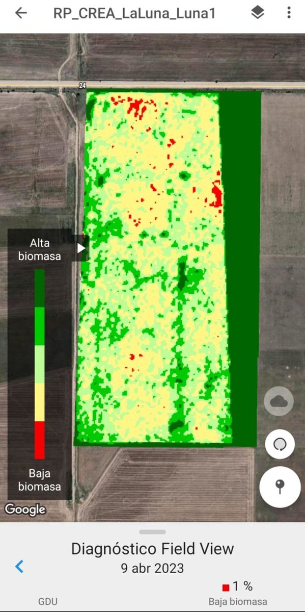luchysoco's tweet photo. Con la imagen de diagnóstico de @FieldViewArg podemos ver la franja del lote donde se hizo vicia como cultivo de servicio en Estancia La Luna, Guatrache @crea_arg https://t.co/SRKoSt5oGl