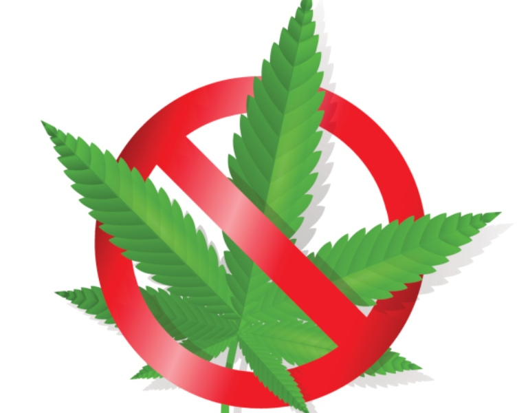 DrAxelCayetano's tweet photo. 🌿¿Saben qué? Estudios muestran que fumar marihuana baja los niveles de testosterona en la sangre 😲 ¡Así es! Entre más verde menos 🥚🥚,  #MarihuanaYTestosterona #ChurroYTestosterona #MenosVerdeMásPoder 😉 https://t.co/aTRvj8T3n6