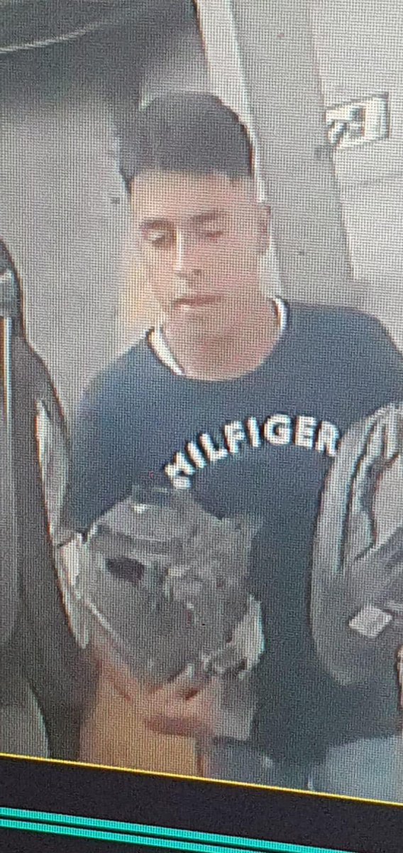 cuartodemillamx's tweet image. Esta rata anda impunemente robando #faros en la colonia Cumbria.

Vehículos como #beetle #audiA1 #focusRs #focusST #poloGTI y algunos otros, son fácilmente víctimas del pueblo bueno y sabio que no quiere trabajar honradamente.