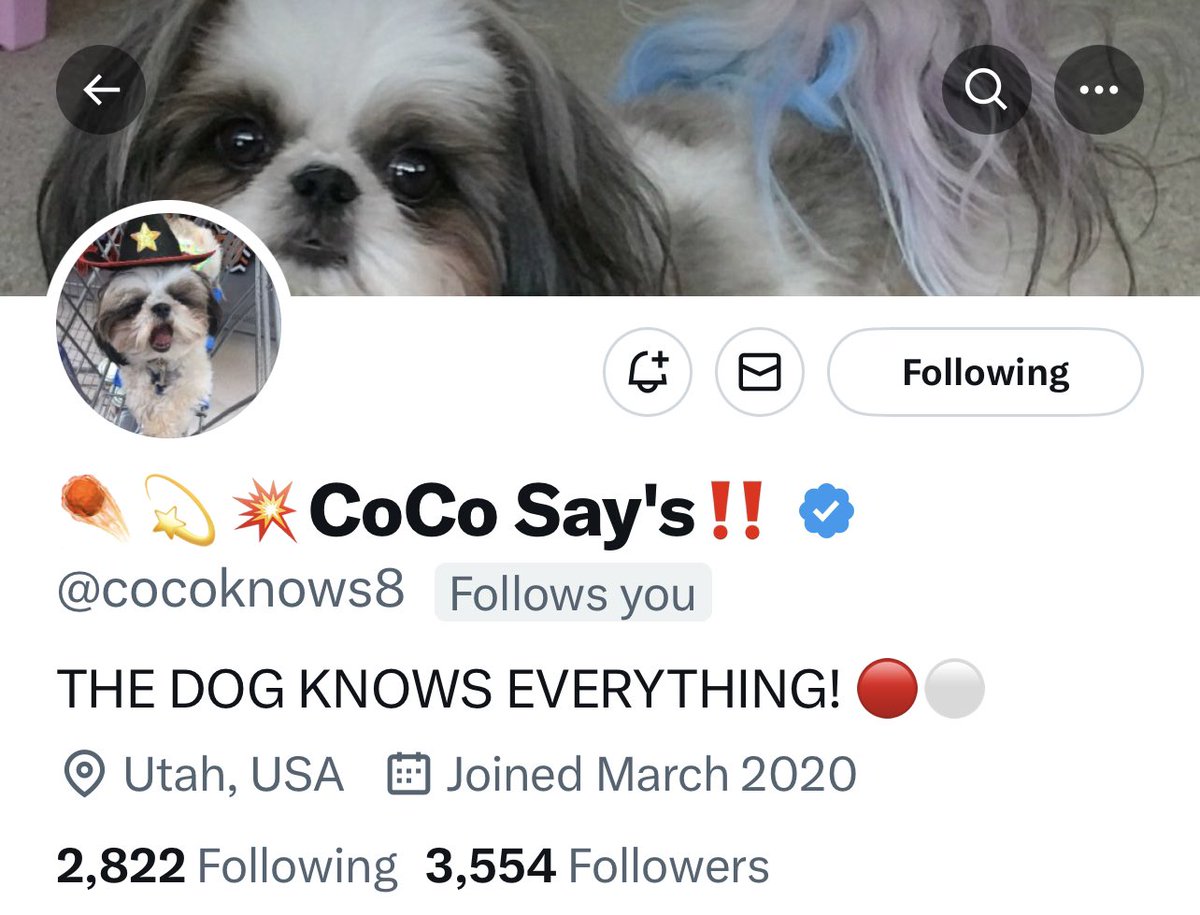 Please follow my sweet friend and Patriot…

🇺🇸🐶👉🏻 @cocoknows8 👈🏻🐶🇺🇸

🐶🇺🇸🐶🇺🇸🐶🇺🇸🐶🇺🇸🐶🇺🇸🐶🇺🇸