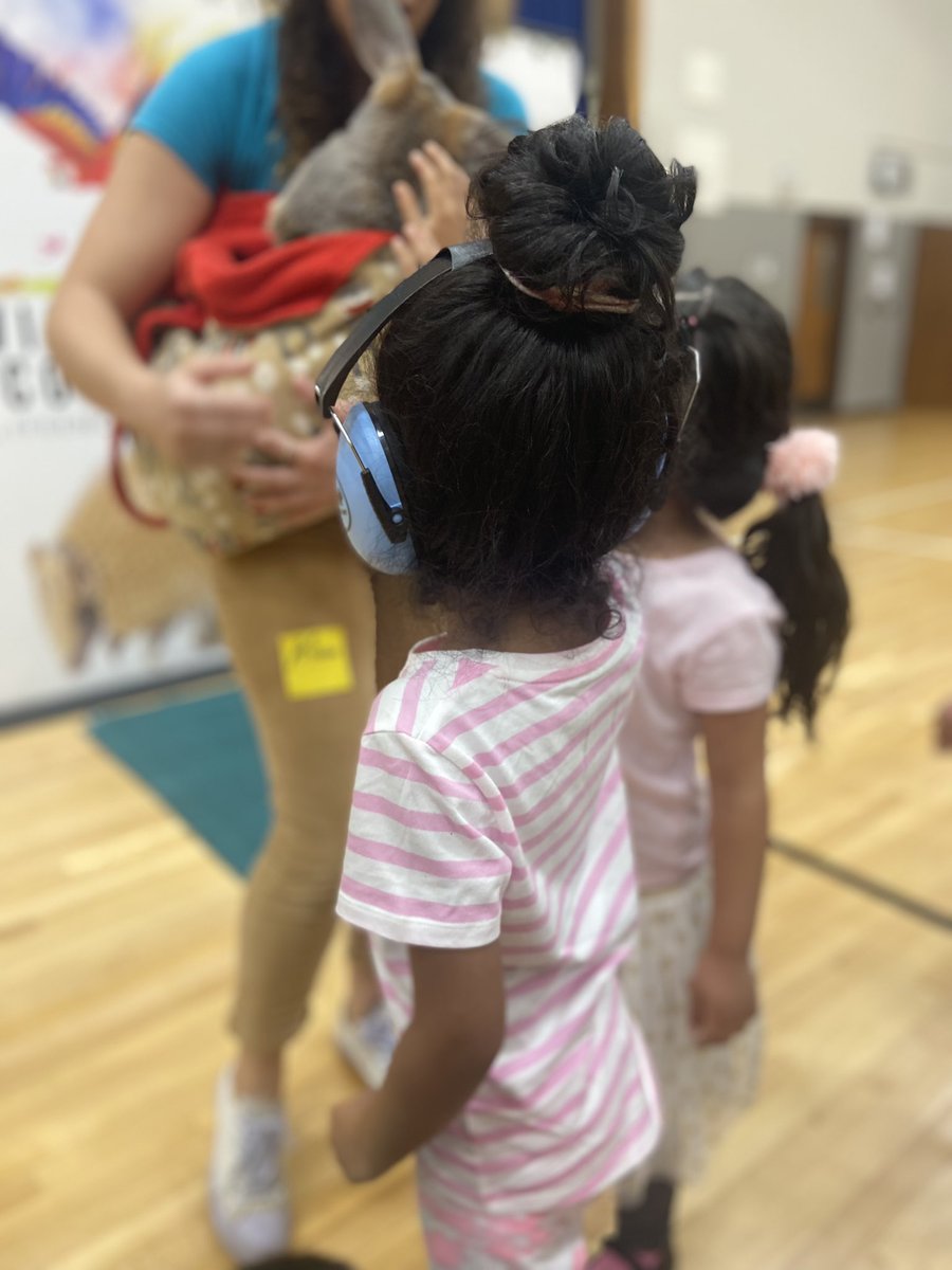 Did you get to pet a kangaroo and honk a recycling truck horn today? Pre K friends at <a href="/OPS_Highland/">Highland Elementary School</a> did! Thanks so much to <a href="/WastelineOmaha/">Wasteline</a> for demonstrating how all the truck mechanisms work and <a href="/WildEncounters2/">Wildlife Encounters</a> for sharing your incredible animals! #iteachprek #opsproud