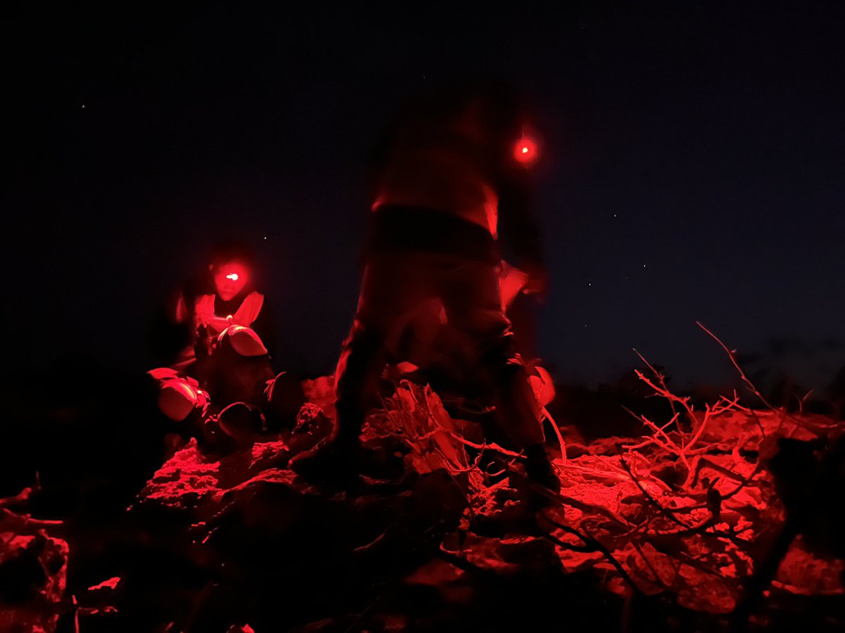 Dodly Prosper tweet media