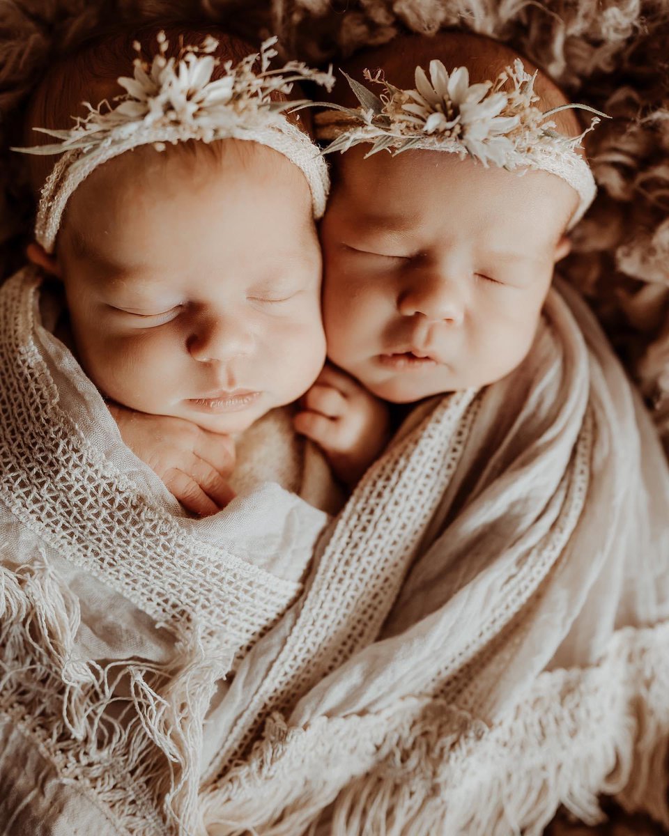 Erica Nulik tweet media