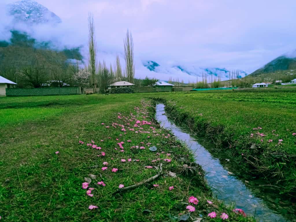 chitralclicks's tweet photo. Herchin, Laspur #Chitral.

PC: @ay_Nomaan https://t.co/xQKb3xMp3f