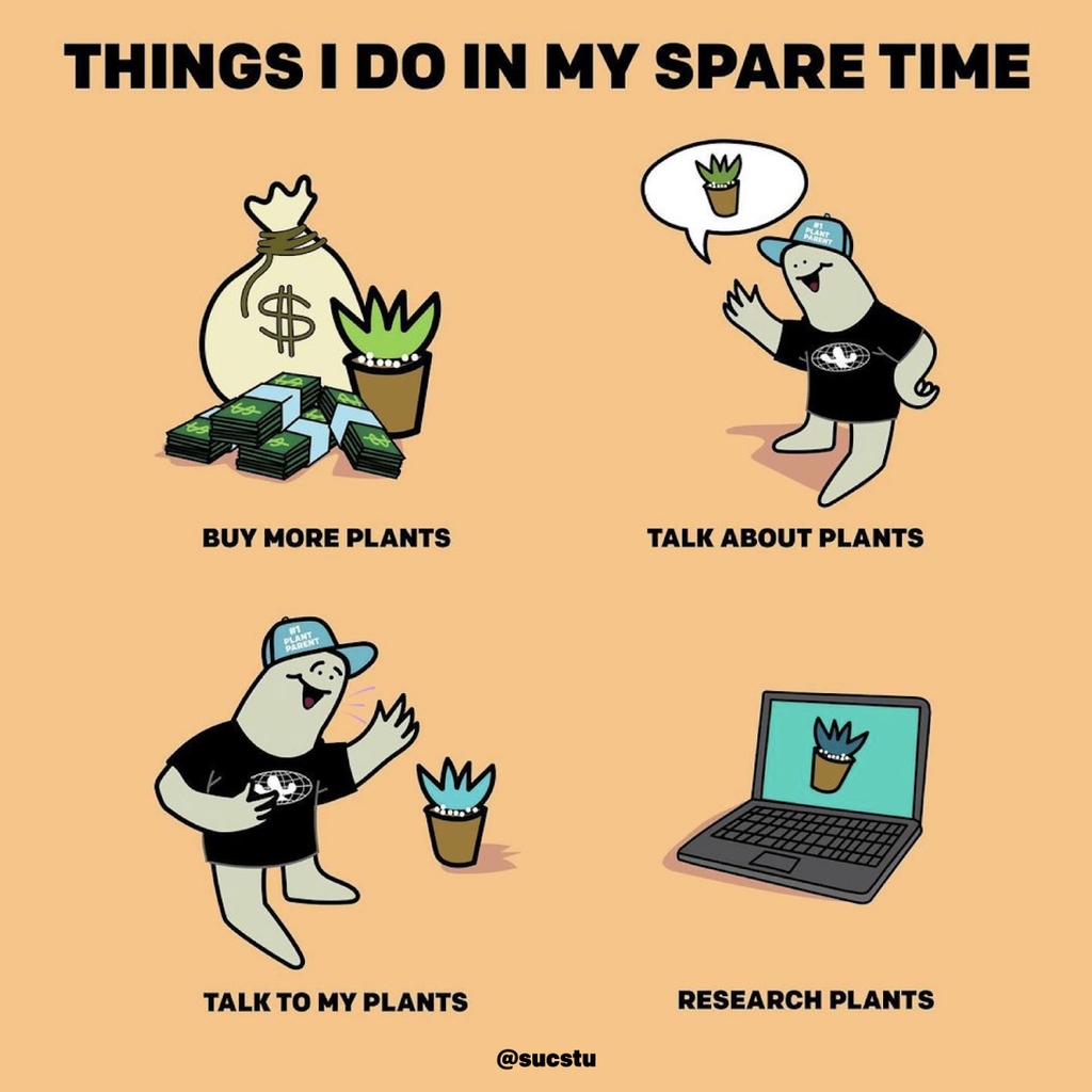 Succulent-themed ANYTHING?? Sign me up.🫡