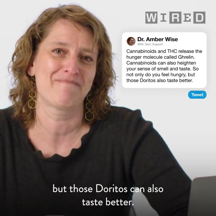 WIRED on Twitter "Is it really okay to smoke weed every day? Why does