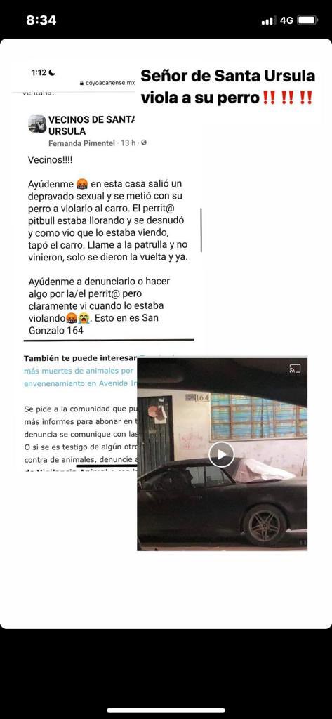 ingridalvacast's tweet photo. @AmorSinRaza @propaem_sma @AmorSinRaza urgente saber que se puede hacer para quitarle un perrito a un tipo que abusa de él y lo violá en la delegación Coyoacán col santa Ursula https://t.co/JpqSbHOAAR