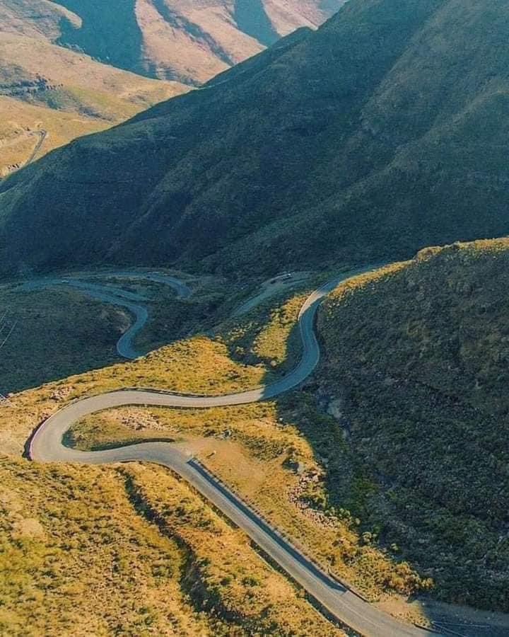 Motlatsi Rakolobe tweet media