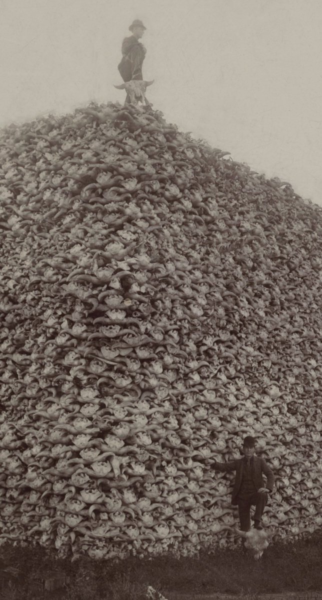 Sixties Scoop Indigenous Society of Alberta tweet media