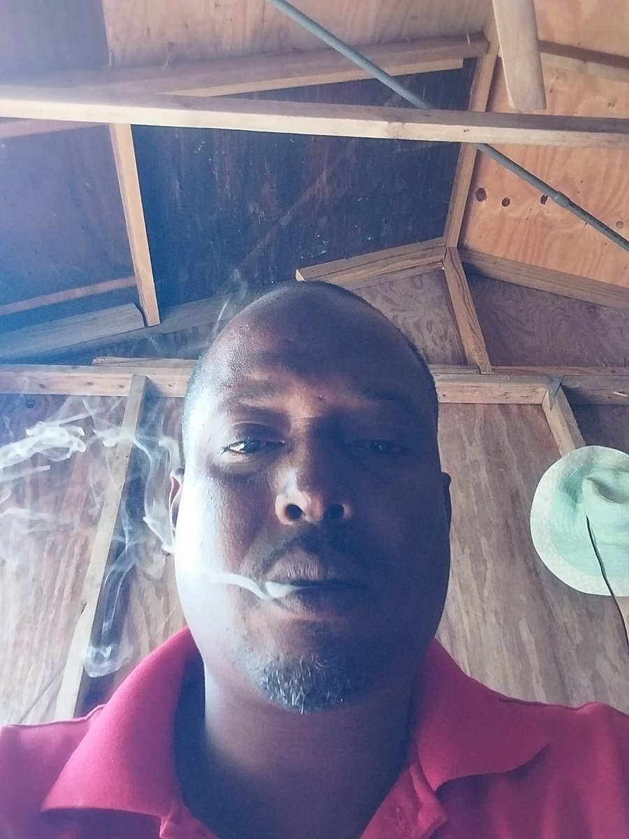 WildCloud3's tweet photo. Chilling https://t.co/73XezCqC5A