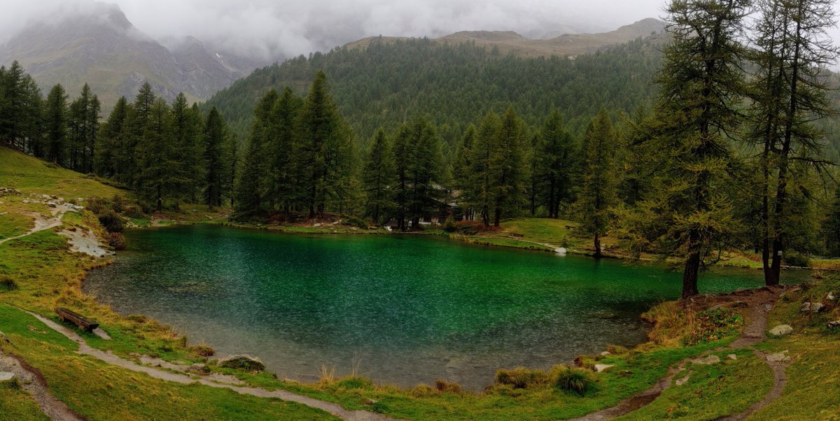 skinsofreality tweet media