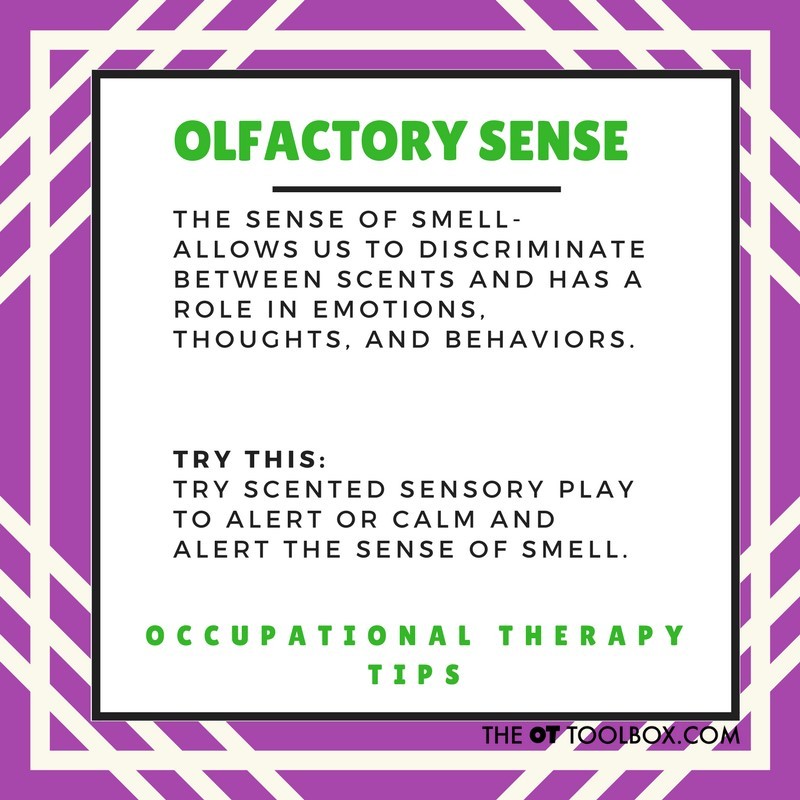 OT Month Tip #11 #OTMONTH #OTROCKS #Pediatrics #fivesenses #Thespeechlanguagelearningcenter #Sensoryprocessing