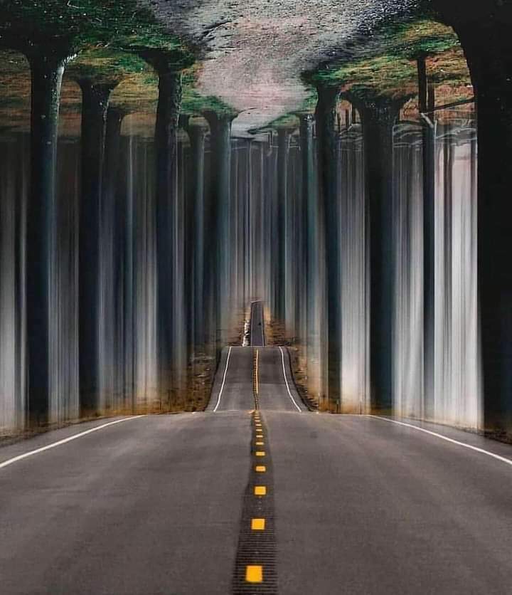 الحياة تُخبرك دائماً أنك يجب أن تبقى يقظاً ، فمحطاتها مُفاجئة ، وطُرقها تُغير مسارها فجأةً ، الوجوه تتبدل ، القلوب تتغير ، صديق اليوم عدو الغد ، الطريق الصحيح يتجنبه الأغلب ، الطريق الخاطئ يصفق له العالم !