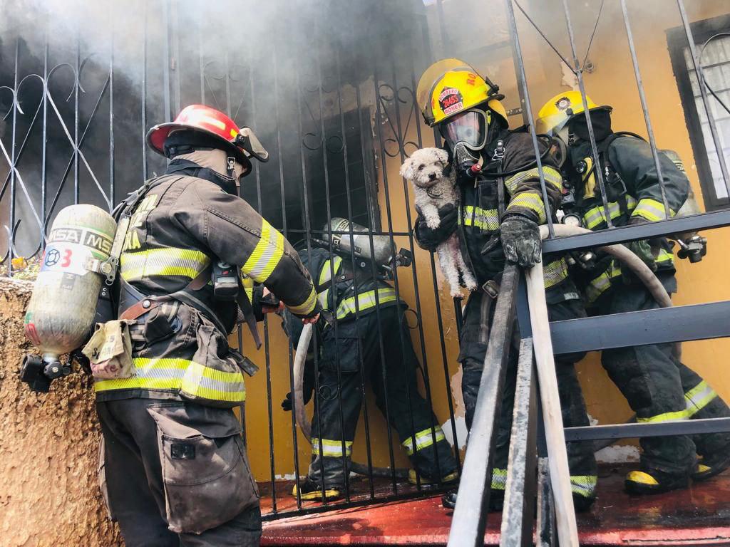 @PCYBOMGDL rescatan a #perrito de morir calcinado en un #incendio en la #ZonaIndustrial de #Guadalajara