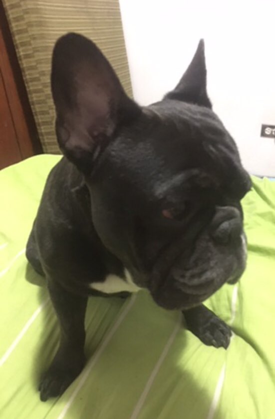 Daniel (💸,💸) tweet media