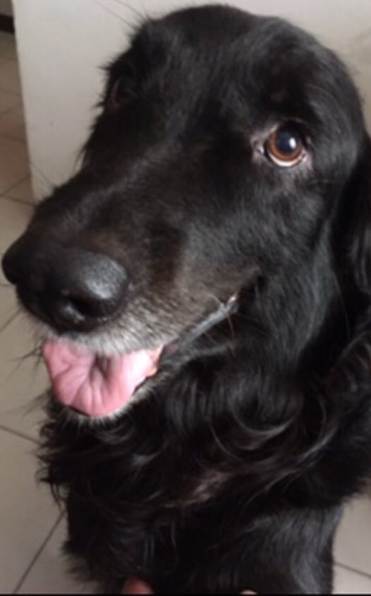 Daniel (💸,💸) tweet media