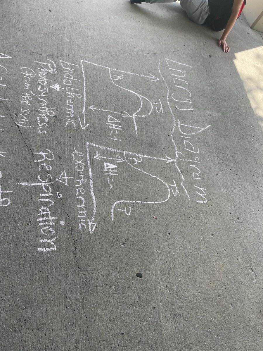 skserm01's tweet photo. Students enjoyed some time outside while examining energy of reactions in photosynthesis and respiration! @FernCreekHigh https://t.co/4kZBKQ2wHZ