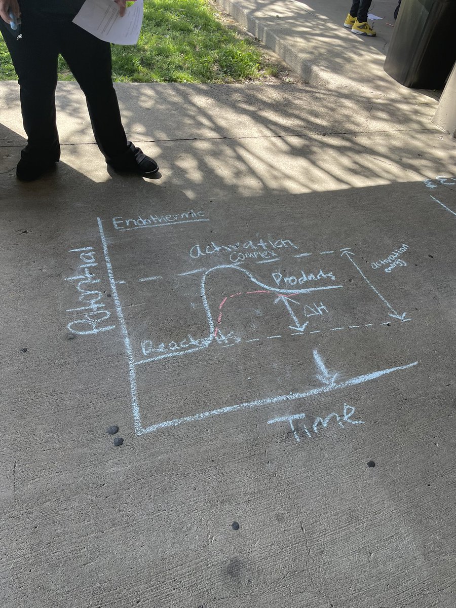 skserm01's tweet photo. Students enjoyed some time outside while examining energy of reactions in photosynthesis and respiration! @FernCreekHigh https://t.co/4kZBKQ2wHZ