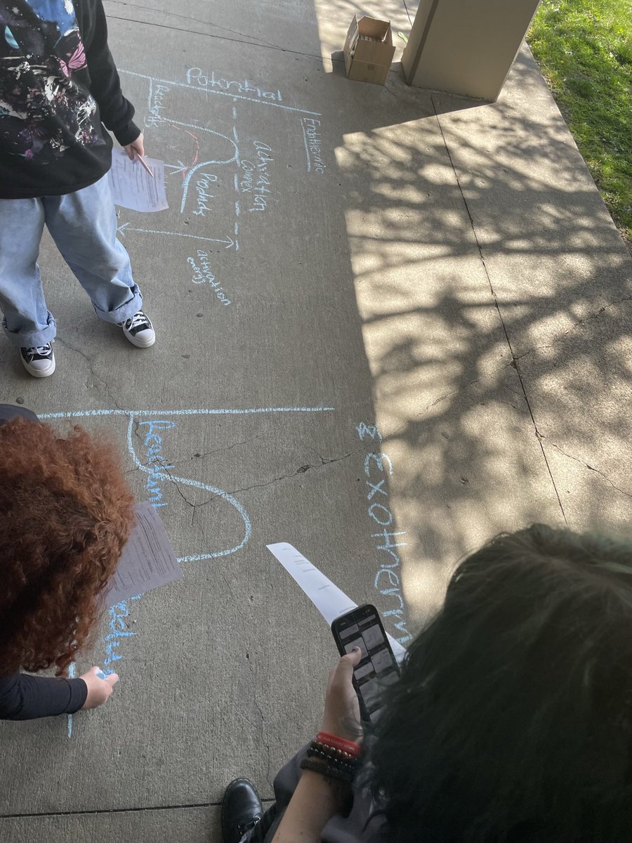 skserm01's tweet photo. Students enjoyed some time outside while examining energy of reactions in photosynthesis and respiration! @FernCreekHigh https://t.co/4kZBKQ2wHZ