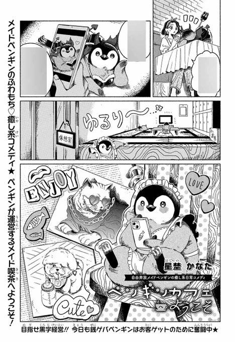【#花とゆめ 10・11合併号好評発売中!】
ショート
「#ペンギンカフェへようこそ」#星埜かなた

メイドペンギンのふわもち♥癒し系コメディ★
ペンギンが運営するメイド喫茶へようこそ!

目指せ黒字経営🎉
今日も銭ゲバペンギンはお客ゲットのために奮闘中♥ 