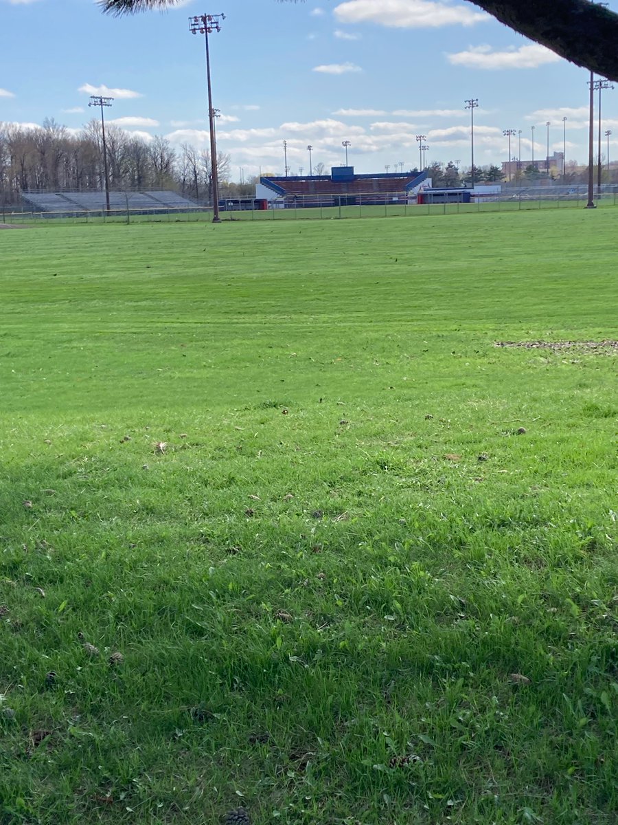BernieRBird's tweet photo. You know what has excited me the most ever since I’ve landed in my nest ,The count down of seeing my new home Bernie Arbor being packed on Friday nights and Sunday afternoons for @HamCardinalsIBL  Let’s go #HamOnt ! Spread the word to your friends! And Family! May 19th be there ! https://t.co/xopRBbnJAG