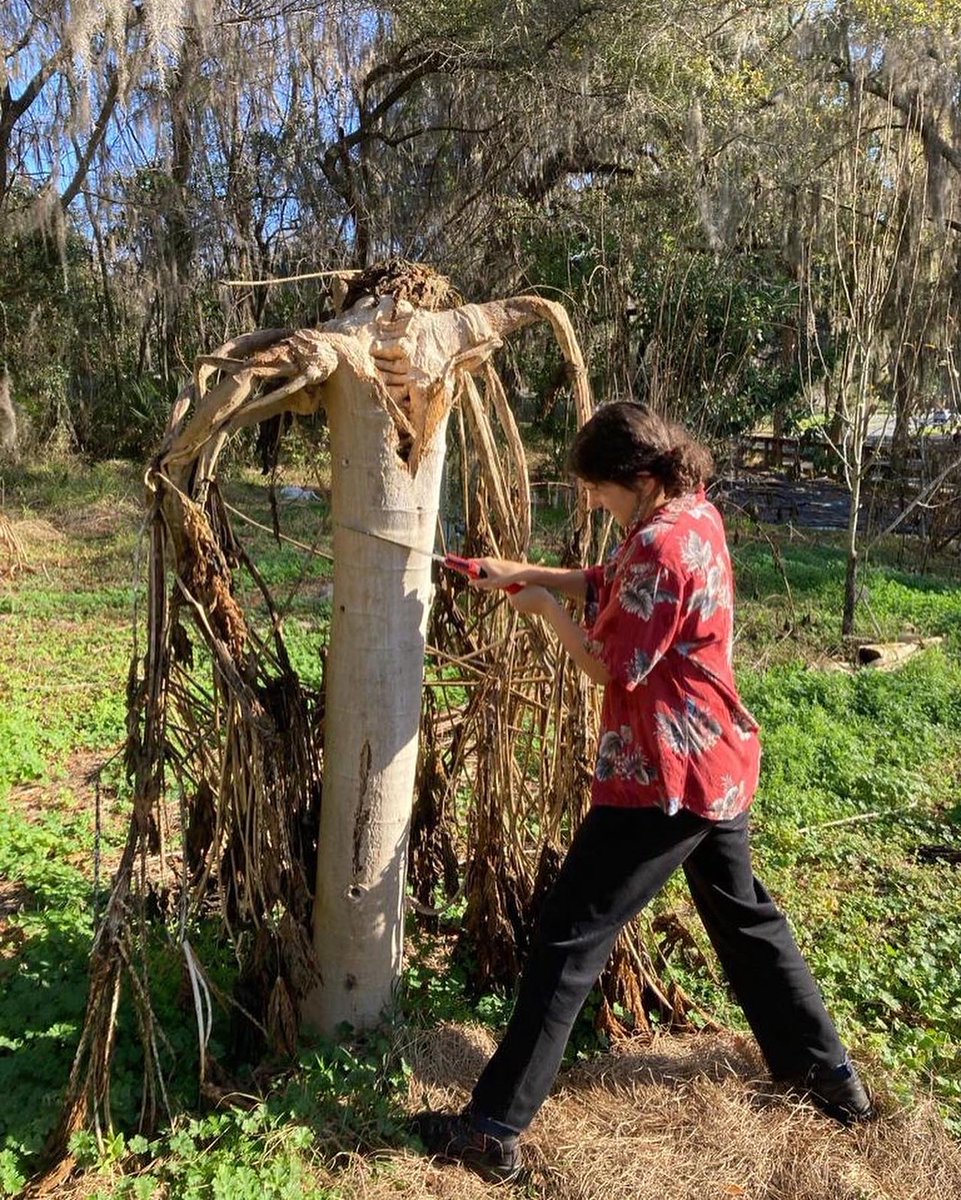 Spring 2023 Intern Highlights

Meet Ava! She is a junior majoring in environmental science! This is her fifth semester on the farm! She loves being an intern because it is fulfilling work that has truly changed her career path!