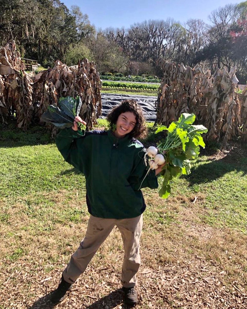 UF Field & Fork tweet media