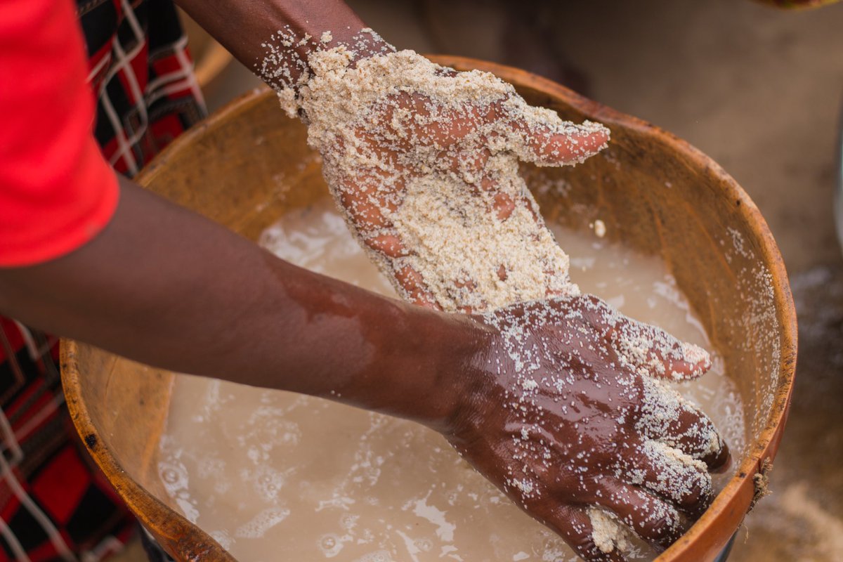 Fulanichef's tweet photo. Women play a vital role in
#agrifoodsystems, but their working conditions are tedious. Our goal is to address the challenges, equip them with the right tools, and ensure more female farmers receive fair pay for what they produce.
#Fonio #dineonamat #bcwp2022 #IYM2023 https://t.co/abPyhD9HdM