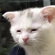 안녕하세요..? 저를 기억 하시나요..?