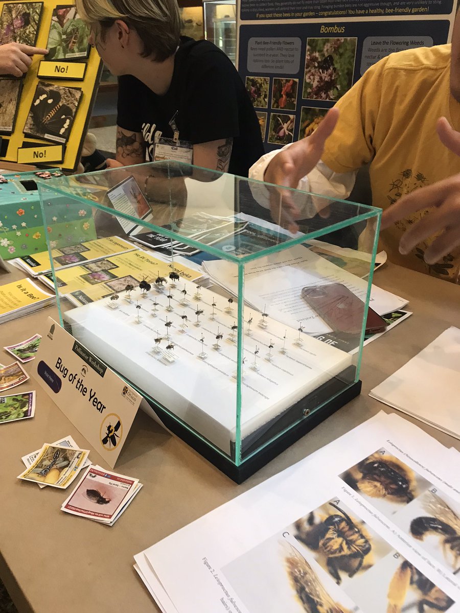 🐜 🐛 🐞 🦋 Bug Day! Is a hive of activity today for <a href="/WildDunedin/">Wild Dunedin</a> at Tūhura <a href="/OtagoMuseum/">Tūhura Otago Museum</a> <a href="/OtagoEntoSoc/">Otago Entomology Society 🦋</a>