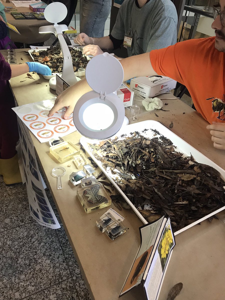 Emma Burns tweet media