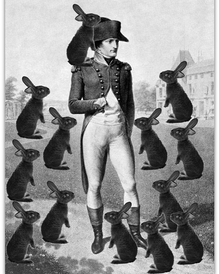 rviewhistorypod's tweet photo. No movie required this week! New Episode of the show is up! It's available anywhere you get your pods! All you gotta do is listen and laugh! We talk about Napoleon's Rabbit Hunt, Jimmy Carter's erotic speeches, and a badass Greek Warrior.
#comedy #comedypodcast #history #historypodcast #napoleon #JimmyCarter #cyrus