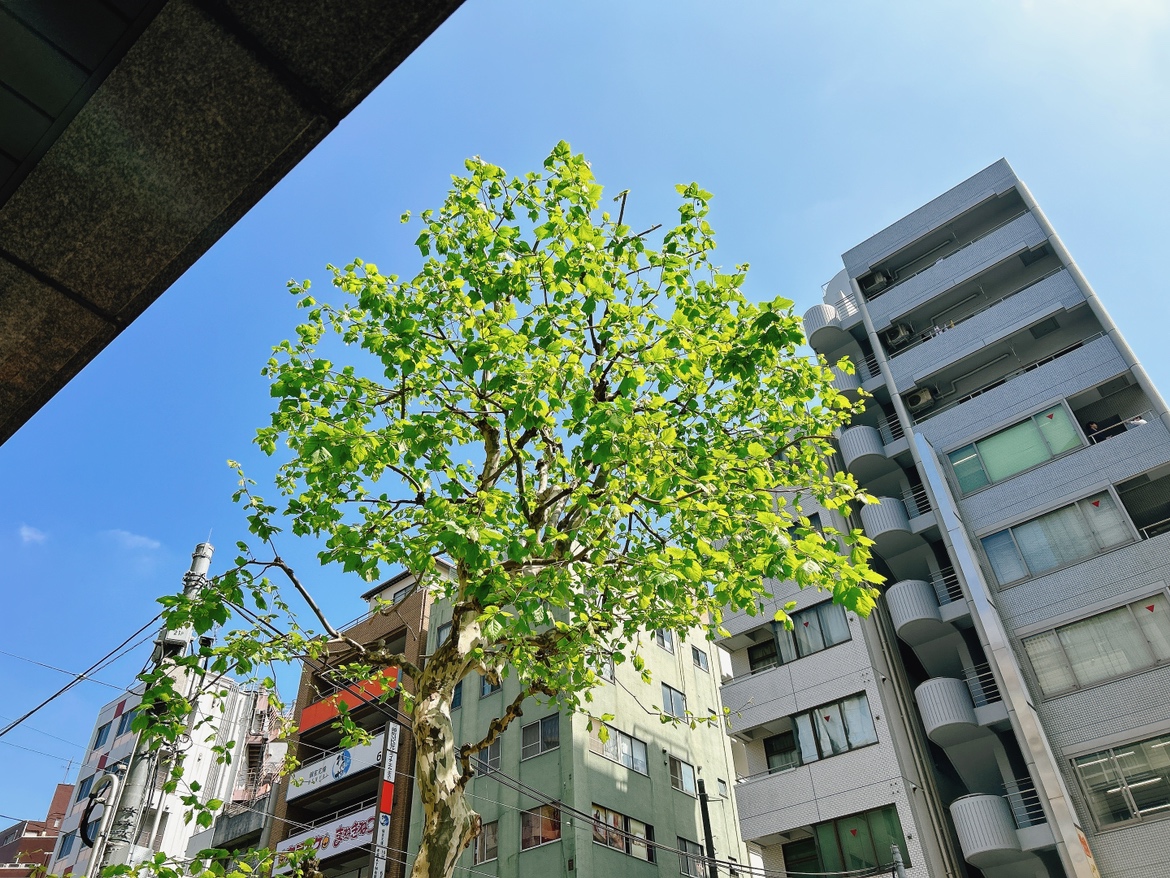 webrage_jp's tweet photo. おはレッジです！☀
東京都千代田区の天気は晴れ

今日はかなり暑くなりそうですね～！
アイスやかき氷が美味しい気温…( ˆᴘˆ )🍨🍧

今日もよろしくお願いします！

#企業公式が毎朝地元の天気を言い合う https://t.co/E1HVr4jGtC