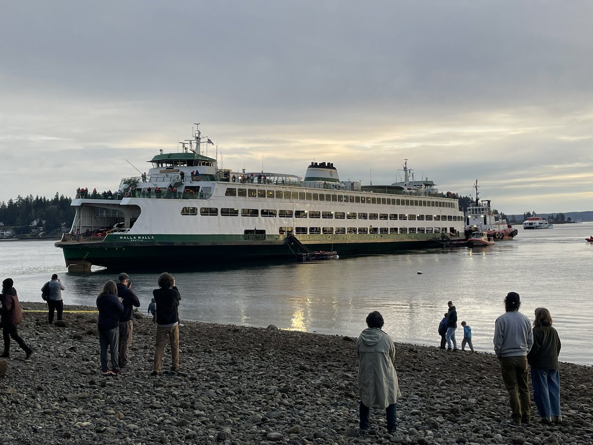 Amy 🐋 tweet media