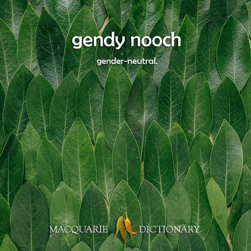 MacqDictionary's tweet photo. An online shortening of gender-neutral to become 'gendy nooch' is gaining traction. Find more new words here. https://t.co/rO6OF4QuRK https://t.co/3QkYLiNLEA