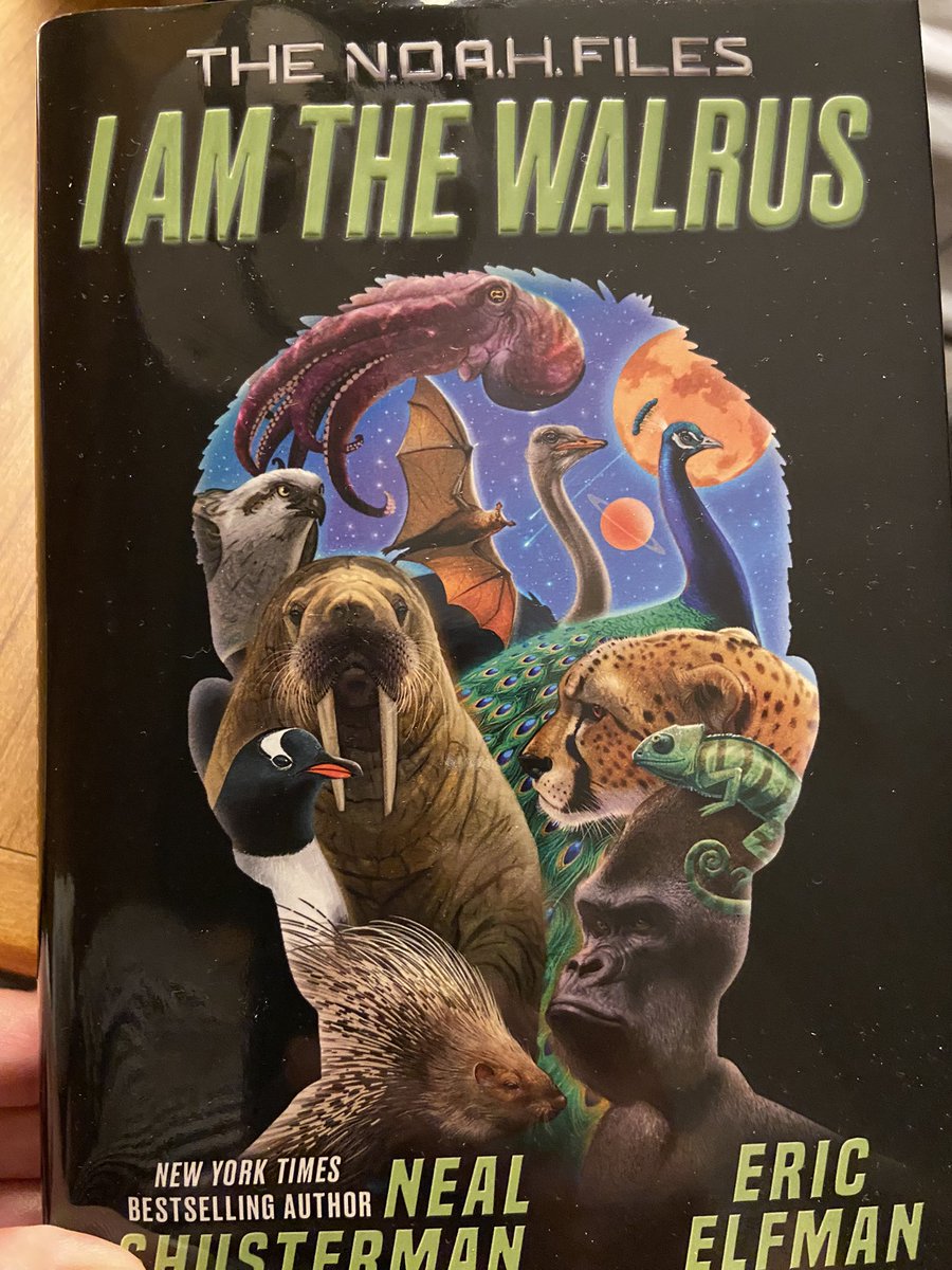 Lisa Lopez tweet media