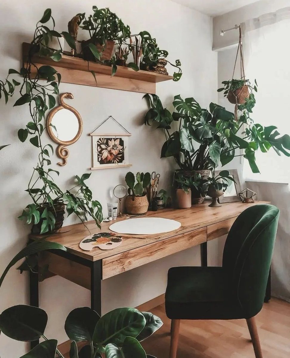 HobbyistPlant's tweet photo. The perfect desk setup 🌿 https://t.co/BVbqb3Akit