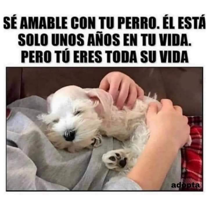 GRamirezF_D12's tweet photo. Buenas noches ✨💖 https://t.co/F6aj2VBbTp