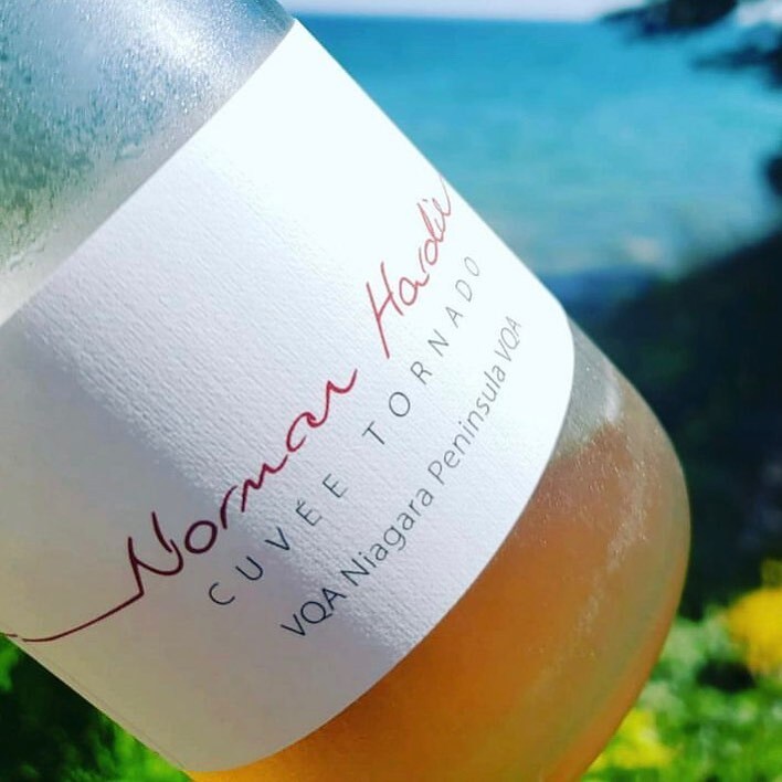 Norman Hardie Winery tweet media