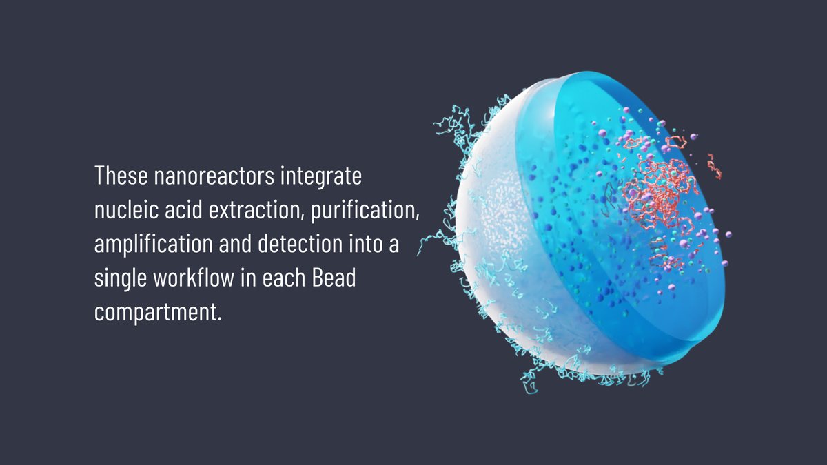 BLINK Beads can be probed into a sample that has been lysed. They capture DNA (or RNA) directly in the sample and then serve as both the compartmentalisation body and reaction chamber for the dPCR.
#labonabead #digitalPCR #BLINKBeads #BLINKX 
#BLINKDx